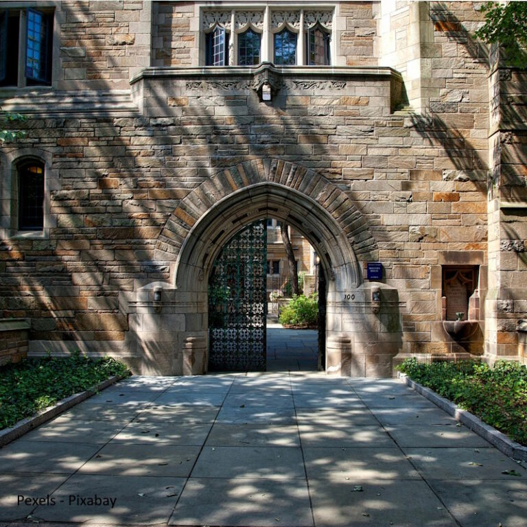 UNIVERSITY NAME
