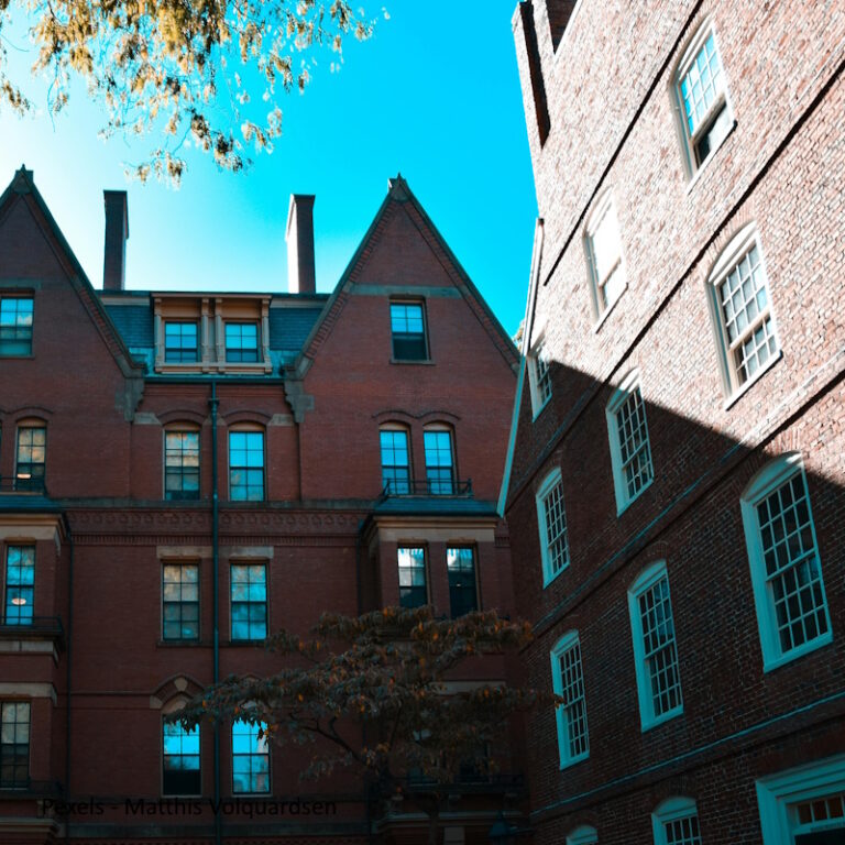 UNIVERSITY NAME