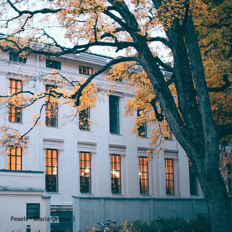 UNIVERSITY NAME