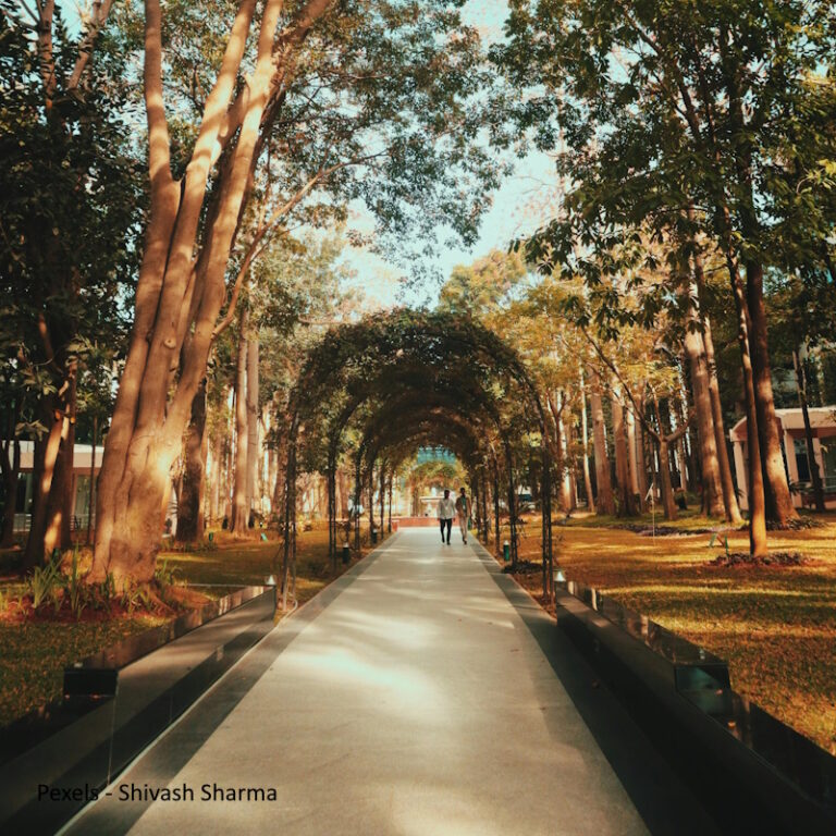UNIVERSITY NAME