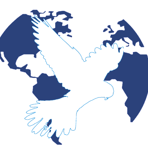 Take Flight Global Education Consulting